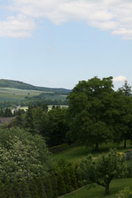 Ausblick